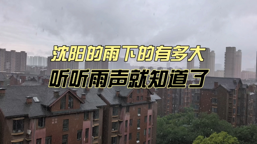 沈阳的雨下的有多大？听听雨声就知道了！