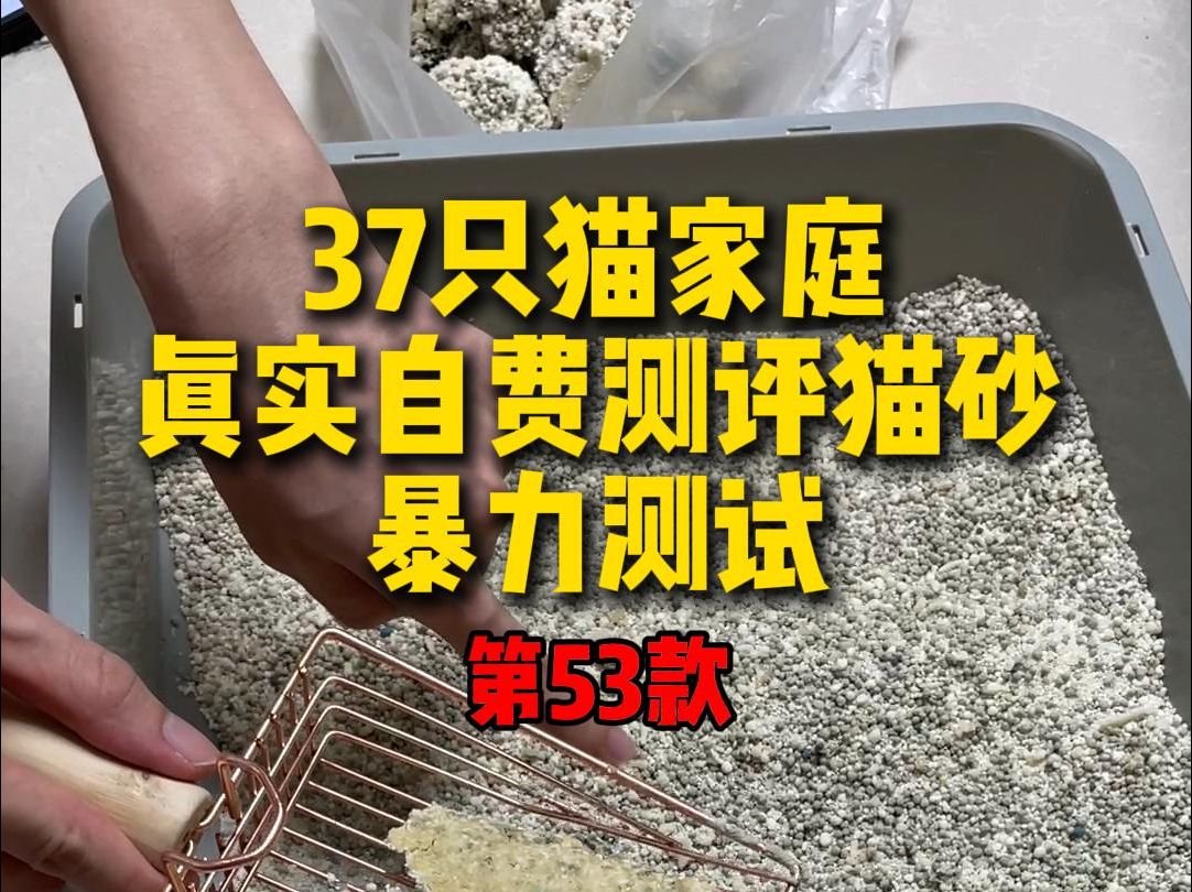 挑战全网猫砂测评|许翠花混合砂 真测评