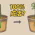 [图解]植物的扦插繁殖方法