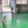 激情小白虎