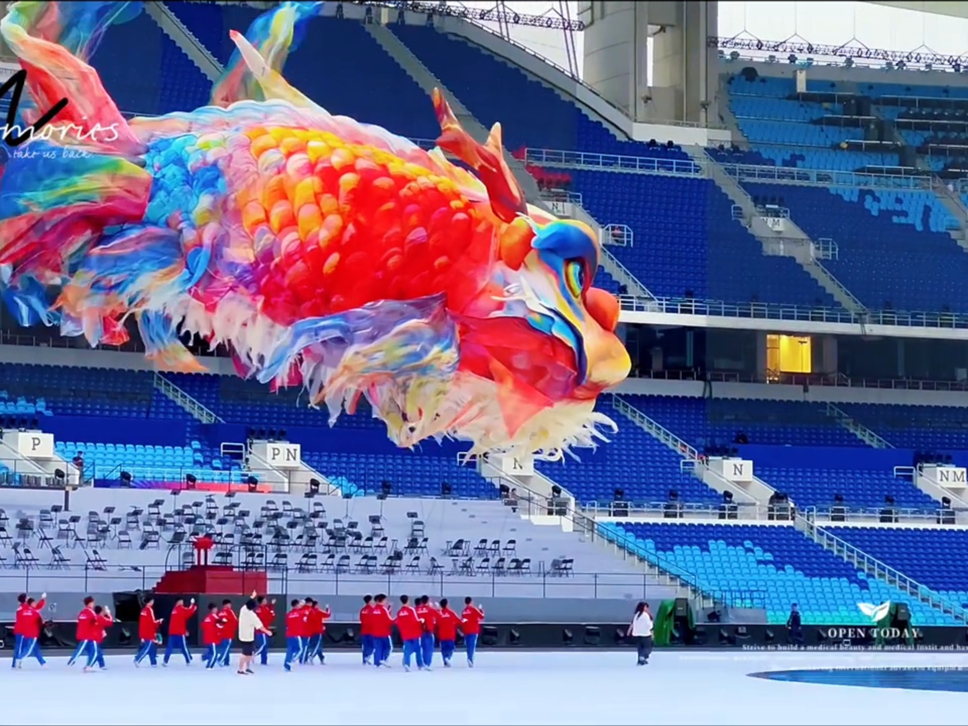 鳌鱼白天更漂亮啊