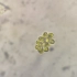 水生微生物  金藻门——黄群藻                        一群可爱的单细胞生物