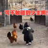 这大公鸡怎么“人里人气”的，还知道“刹车”，网友：对方撤回了一份大盘鸡