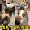 掐个脸 握握手 咱们就是好朋狗