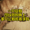 一只母狗可以同时怀上多只公狗的孩子吗