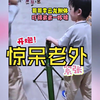 原来我们玩腻的玩具，在老外眼里都是黑科技