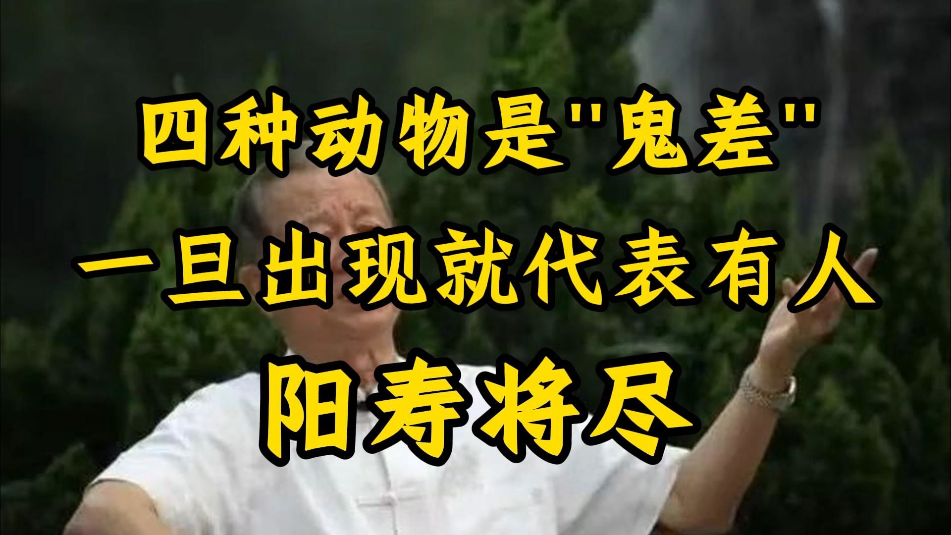 曾仕强：有四种动物是被称之为“鬼差”它们的出现将会预示着不好的事情发生。