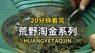 21分钟看完荒野淘金：大佬荒野吸金日入十万，女船长挖金收获颇丰