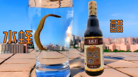 谷歌商店下软件慢手机 79221e7a6dbda4504c69101205d3a2e8d62aad0c.jpg@480w_270h_1c