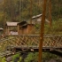 两年前，用竹子建的一座桥。