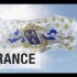 法兰西王国 国旗国歌 (1815–1848)