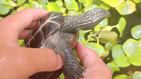 7958c497ad64496d7f8d99320e79c3b0ba328106.jpg@480w_270h_1c