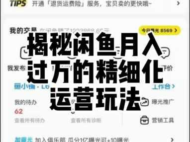揭秘闲鱼月入过万的精细化运营玩法