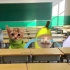 香蕉猫和朋友们开学后的状态