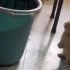 兔子跳到垃圾桶里！！