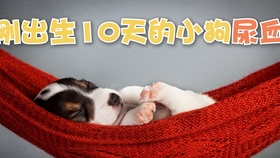 79aa6280322179a5868dbfa6950693de174e5ddc.jpg@280w_158h_1c_100q.jpg