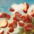 不敢相信这是三维做的广告otma番茄酱广告制作花絮