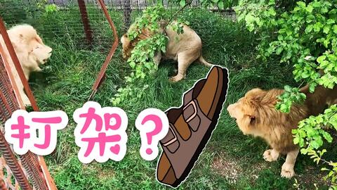 79c87514aa279efccb59e38457af887cd0f41cb7.jpg@480w_270h_1c