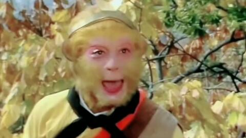 【翻唱,慎入!86版猴哥个人向混剪‖桃花笑】不管红尘多纷扰,想要和你聊一聊