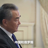 俄罗斯总统普京与中国外长王毅会晤