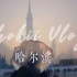 柳叶橙Vlog.4 | 冬天哈尔滨，又冷又开心 | 冰雕&零下20℃的街道 | 冰雪大世界 | 731遗址