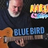 Blue Bird（青鸟）- Naruto（火影忍者）- 伊戈尔指弹吉他 -（Igor Presnyakov官方)