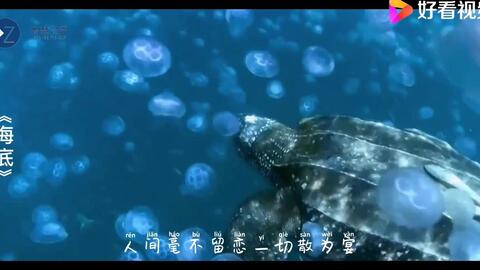 7a0906ca465f780c347178b324d45bd24f476c0d.jpg@480w_270h_1c