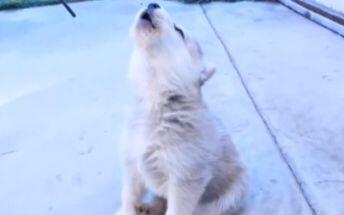 7a129b8c96146d80ef8cb71f7902246963e0b87c.jpg@480w_270h_1c