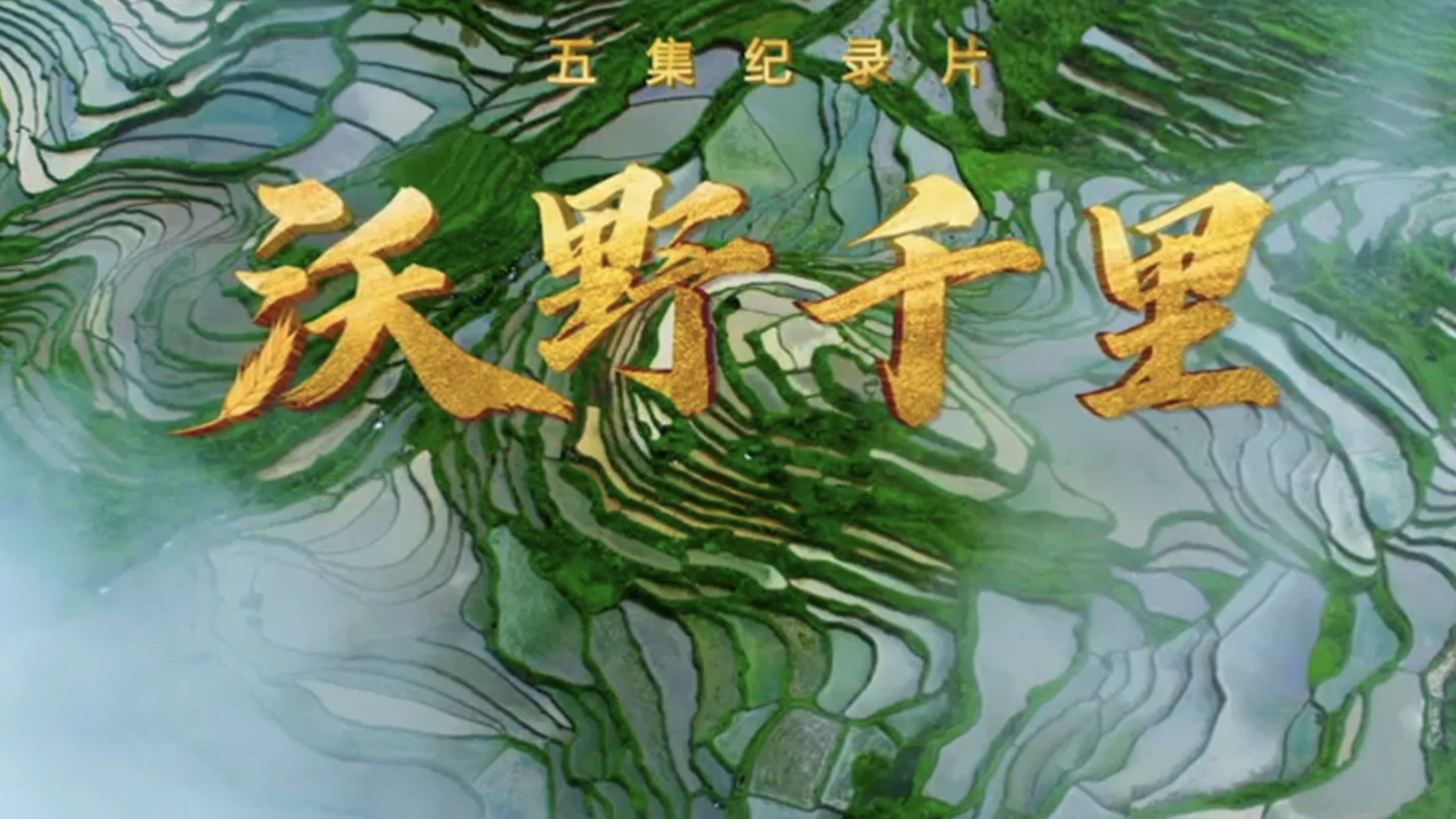 【纪录片】沃野千里(高清五集全)