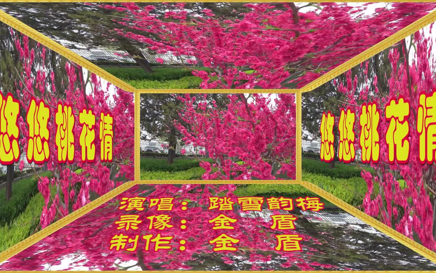 分享一首好听的《悠悠桃花情,优美歌声好听