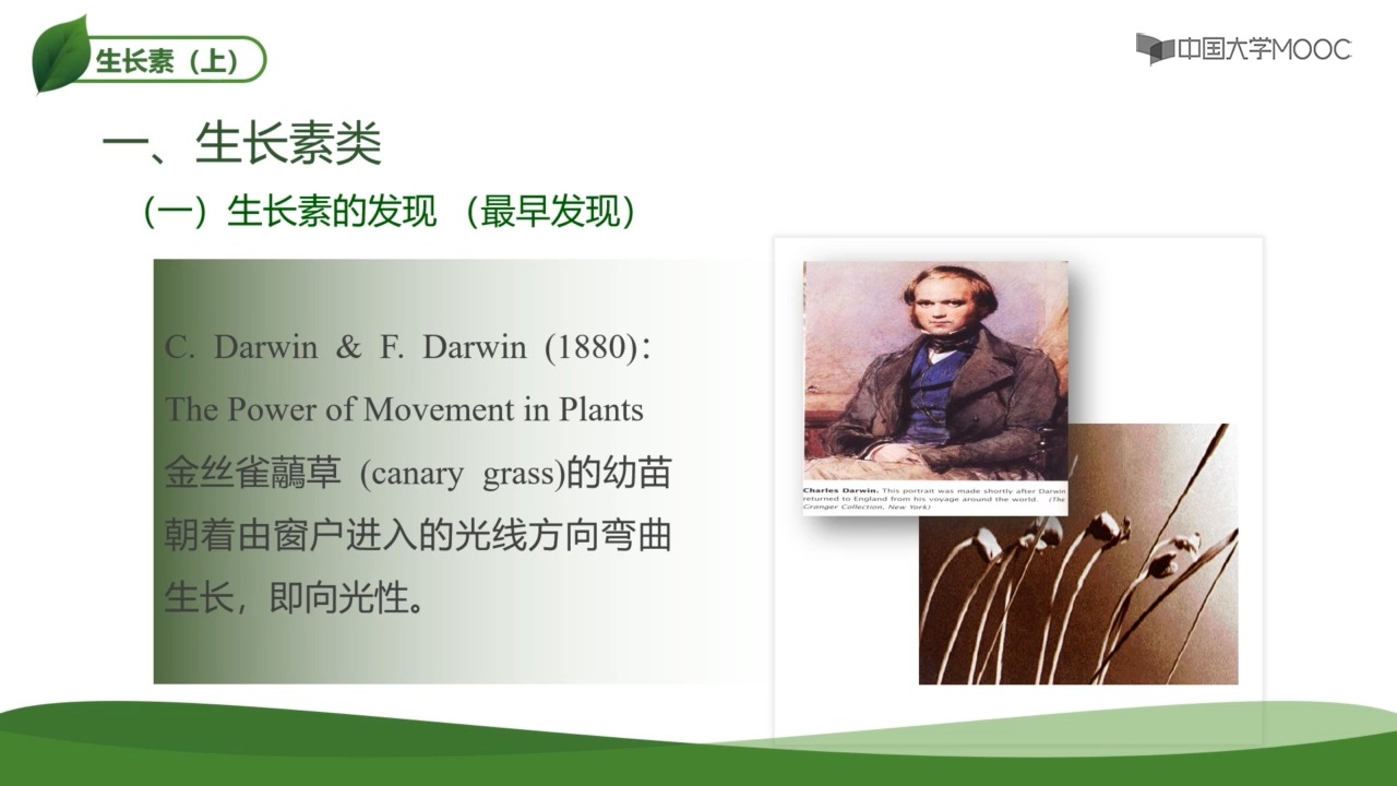 [8.1.1]--8.1.1生长素（上）