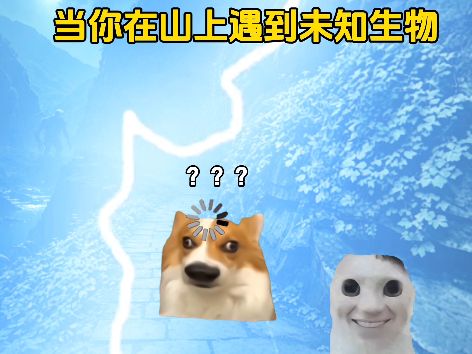 当你在山上遇到未知生物