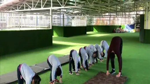 大班体育《前滚翻》优质课