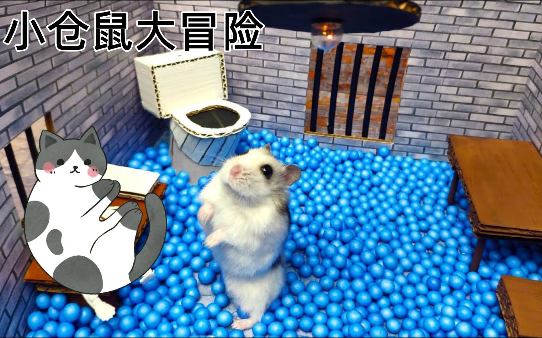 小仓鼠大冒险:挑战逃离破旧监狱,受不了硬板板欲逃跑能成功吗?