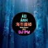 三叔说 - 海市蜃楼 (DJPW版) Ảo Ảnh (Tiktok Remix 2023) 抖音热播版