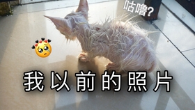 7a9b09558274c070dfc4bc6c96dcfe5ed909effe.jpg@280w_158h_1c_100q.jpg