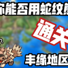 你能否用蛇纹熊通关丰缘地区_