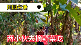 7aad331469733329f2fbf8e4d7f811e114b4a169.png@280w_158h_1c_100q.jpg