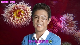 7ab1e2229d97287ec68428bbc6531fd5b212b775.jpg@280w_158h_1c_100q.jpg