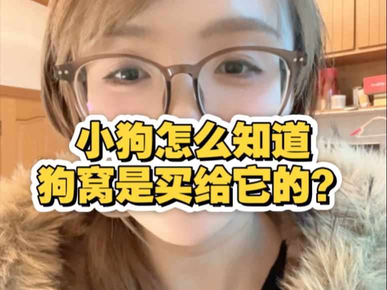 狗窝刚买回来小狗就睡上去了，它怎么知道是买给它的？