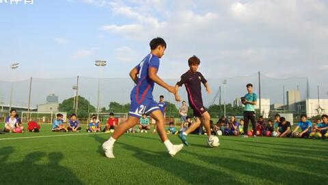 足球野球撞人犯规吗,足球野球撞人犯规吗视频