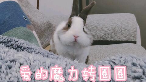 7ad587c328a5f19ad8ad0de66a7fb5174345a2d4.jpg@480w_270h_1c