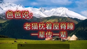 宣传短剧图片高清，视觉营销的新利器，高清宣传短剧图片，视觉营销的新利器
