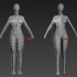 【3dmax人物建模】从box到完整的女性人体模型建模，3dmax零基础布线教程