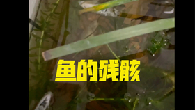 7af99633cd711388700a0bd0e11063d141443499.jpg@280w_158h_1c_100q.jpg