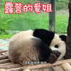 12.9露营的爱姐睡得好香，昨晚发生了啥，ee自行脑补