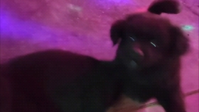 7b2c8d31090fa17bc9ab909ce5af7ca1ccfd25f7.jpg@280w_158h_1c_100q.jpg