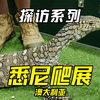 探访系列-悉尼爬展