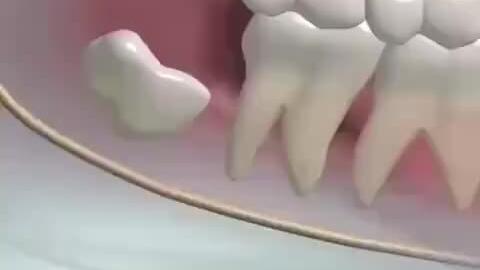 7b368dc6f12fa176919b42e148cd9f4d7fefaf17.jpg@480w_270h_1c