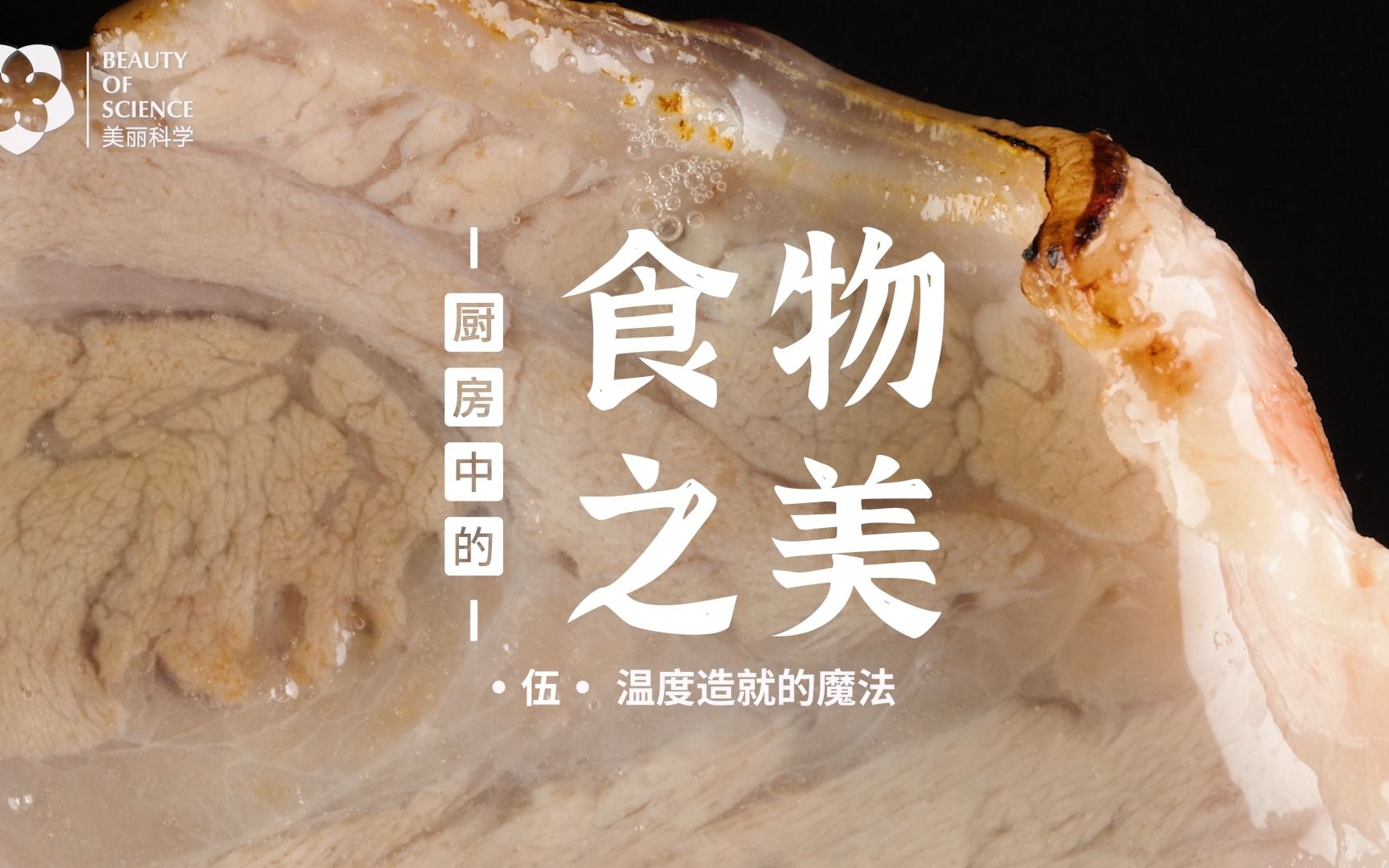 温度造就的魔法：美拉德反应